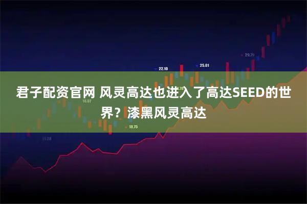 君子配资官网 风灵高达也进入了高达SEED的世界？漆黑风灵高达