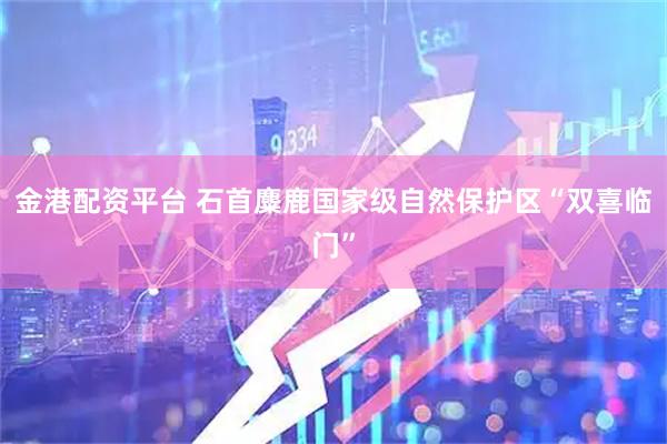 金港配资平台 石首麋鹿国家级自然保护区“双喜临门”