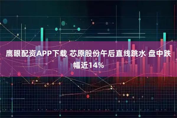 鹰眼配资APP下载 芯原股份午后直线跳水 盘中跌幅近14%